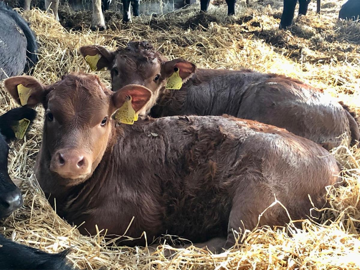 Manor Farm Stay Sutton-on-Sea Eksteriør bilde