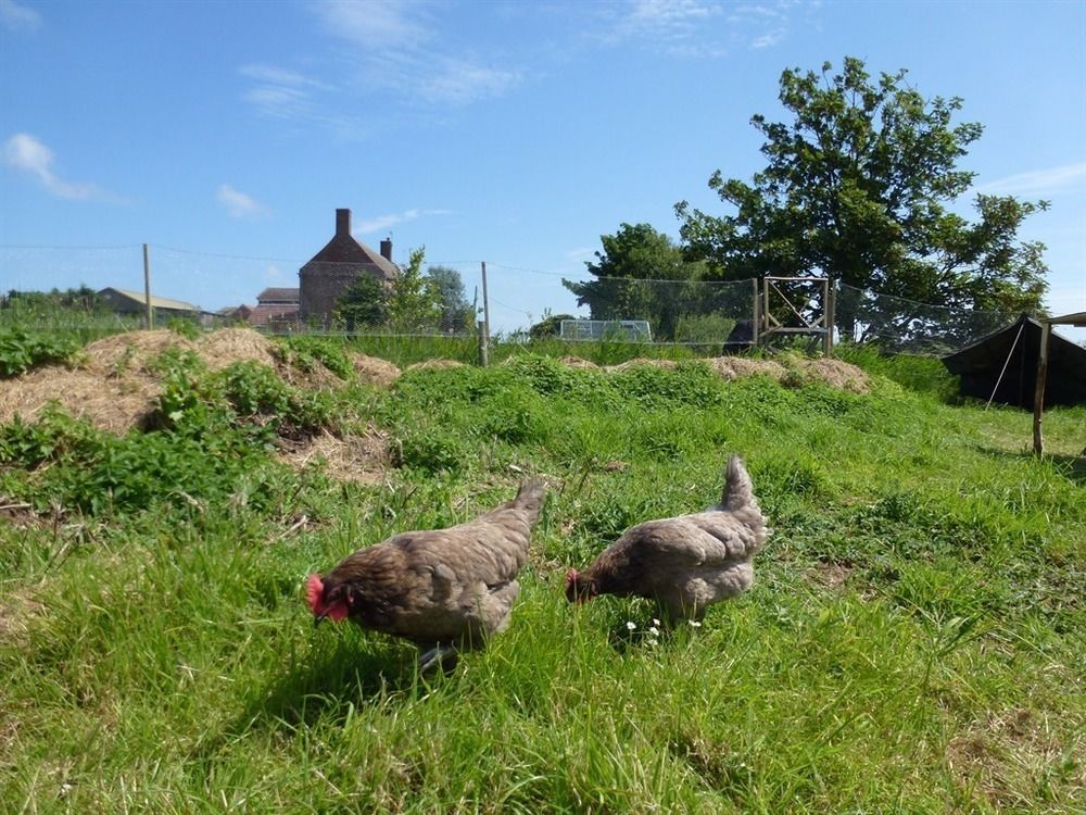 Manor Farm Stay Sutton-on-Sea Eksteriør bilde